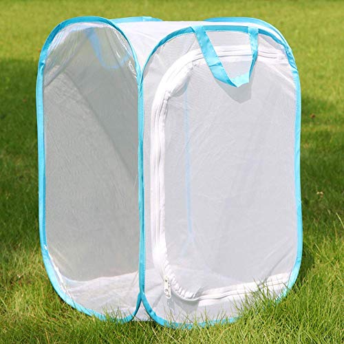 Insect and Butterfly Habitat Cage Pop (White With Blue / 15.7 x 15.7 x 23.6 inches)