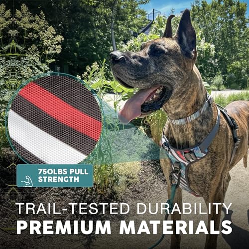 Embark No Pull Dog Harness (XL / Maverick)