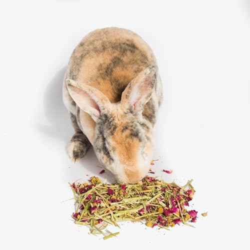 Herbal Calming Forage