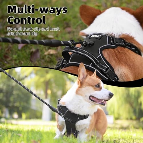 No Pull Dog Harness Medium Sized (Black / Medium)
