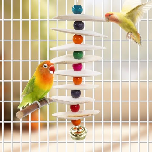 2 Pack Bird Toys with Cuttlebone (Large)