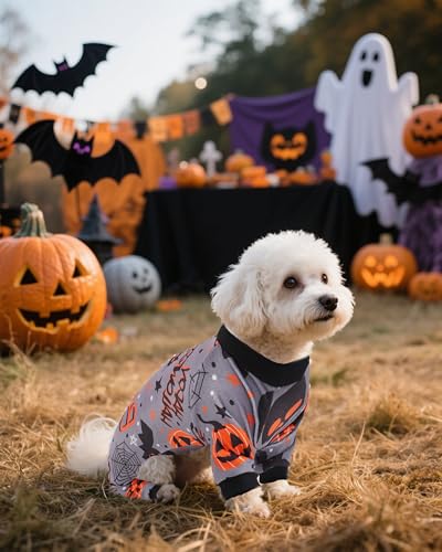 4 Pack Halloween Fleece Dog Pajamas Warm for Extra Small Dogs (X-Small)