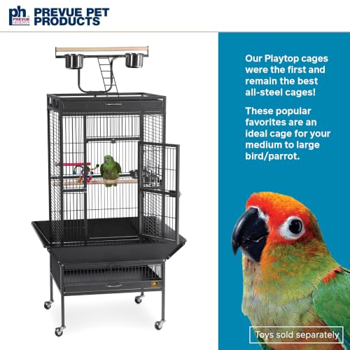Wrought Iron Select Bird Cage (Black Hammertone / 24.0"L x 20.0"W x 60.0"H)