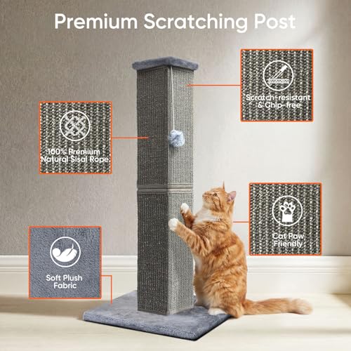 Cat Scratching Post for Indoor Cat (Dark Grey)