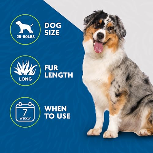 Ultimate Dog deShedding Bundle (Deshedding Bundle long hair / Medium)