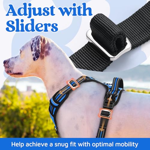 Dog Harness Medium Sized (Blue / Medium)