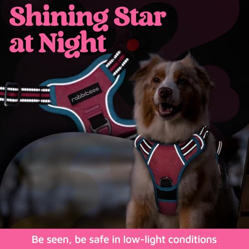 Dog Harness for Large (Pink & Blue / Large)