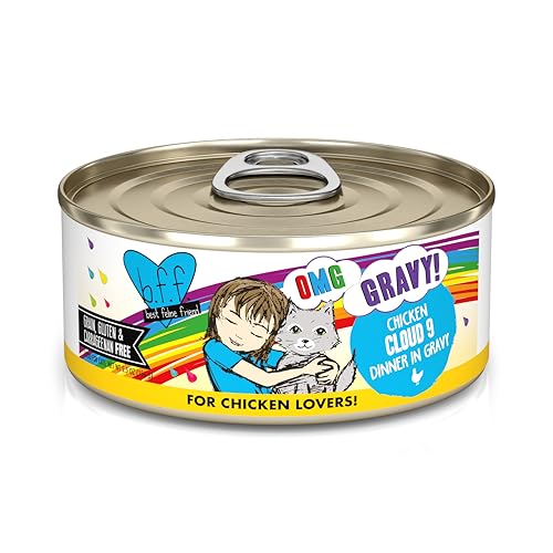 B.F.F. OMG Best Feline Friend Oh My Gravy! (5.5 Ounce (Pack of 8))