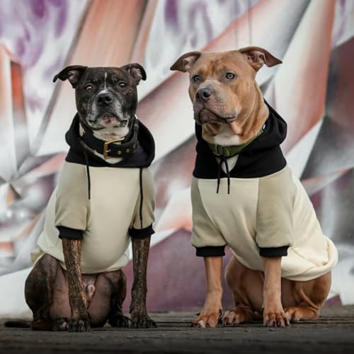 Dog Hoodie Buttery (Olive Cream / XX-Large)