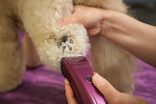 Professional Animal Bravura Lithium Ion Clipper (Purple)