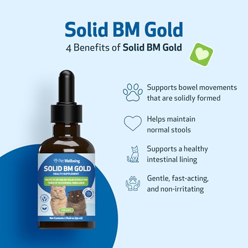 Solid BM Gold for Cats