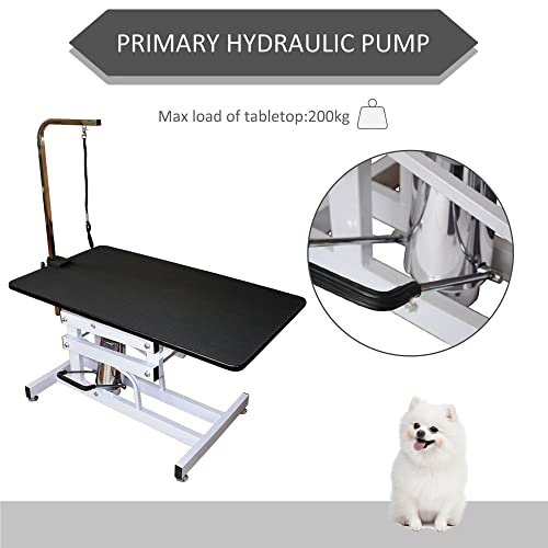 Hydraulic Dog Grooming Table (Single arm)