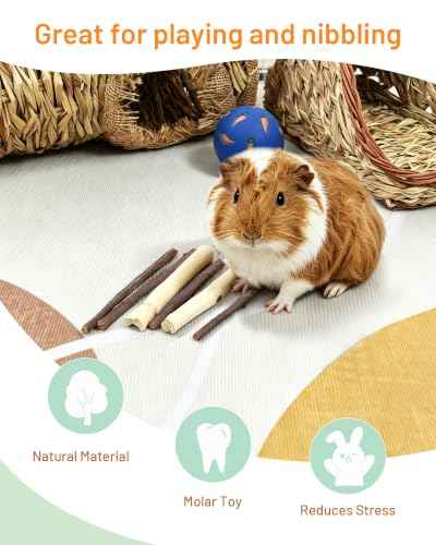 Natural Timothy Hay Sticks Timothy Molar Rod Apple Sticks for Rabbits