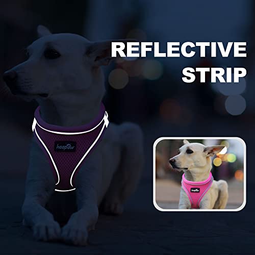 Dog Harness with Leash Set (XL / Blue / Pink)