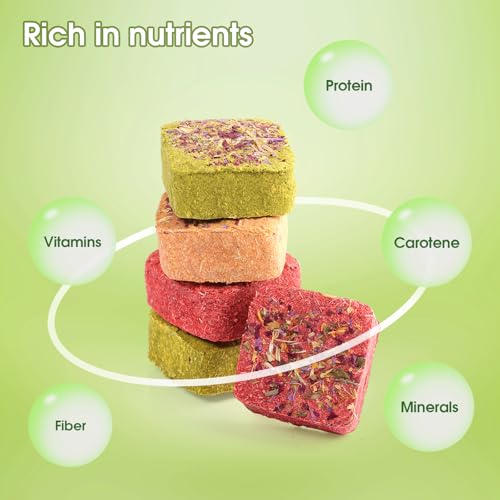 Multiple Flavors Bunny Toys Rabbit Chew Blocks for Teeth Grinding