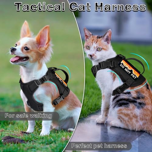 Tactical Cat Harness and Leash Set for Walking (L / black)
