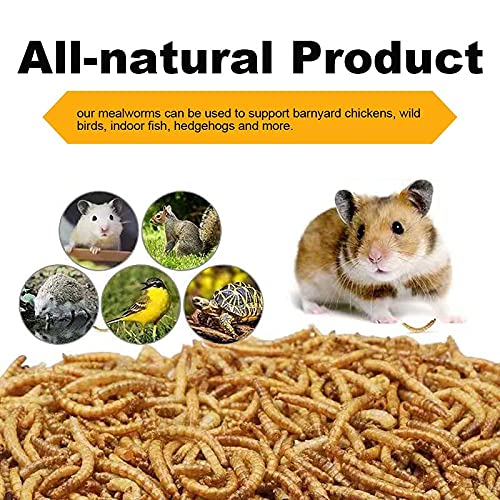 10oz Dried Mealworms for Chickens Duck High Protein Birds Treat (10 Ounce (Pack of 1))