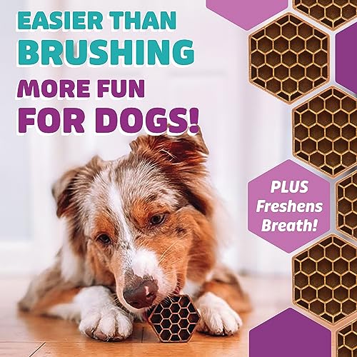 Dog Dental Treats (24 Ounce)