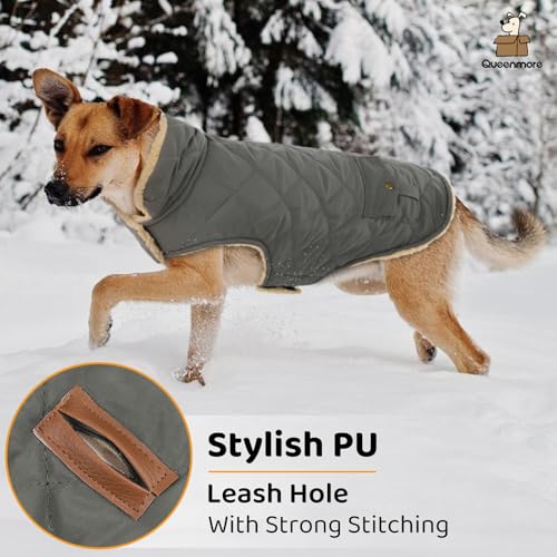 Dog Winter Coat (Medium / Grey)