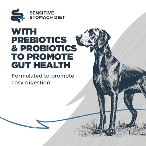 Sensitive Premium Dry Dog Food (Catfish Meal with Ancient Grains / 10 Pound (Pack of 1))