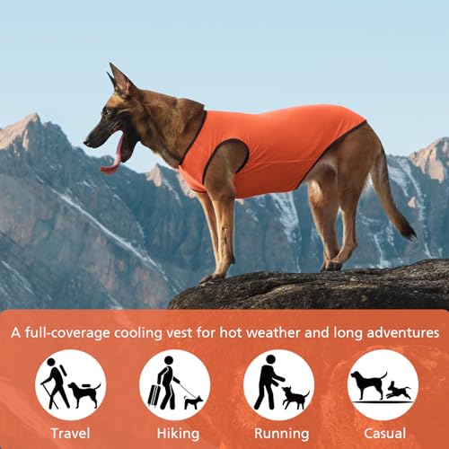 2 Pack Cooling Shirts for Dogs (L(chest:14-15.5") / Black&Orange)