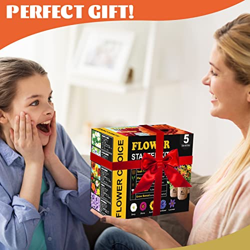 Indoor Daisy Garden Starter Kit with Gardening Tools