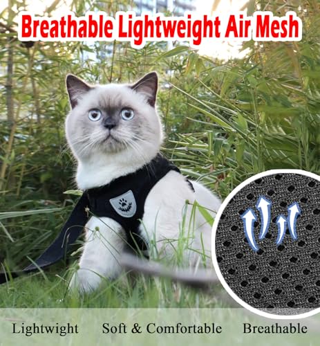 Cat Harness and Leash Set (M (Chest: 12" - 14") / Black)