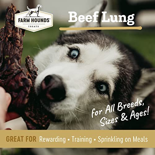 Beef Lung Premium Natural Beef Lung Jerky for Dogs (2 Ounce (Pack of 1))