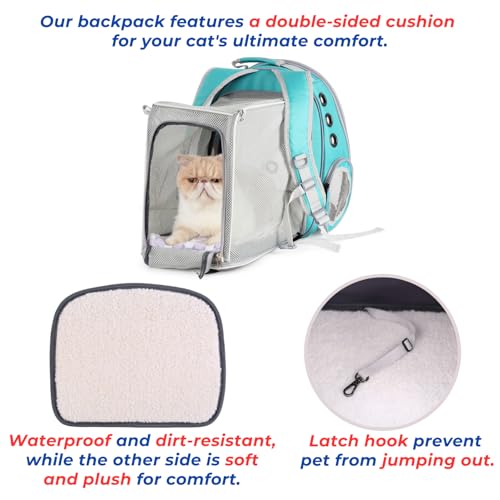 Expandable Bubble Cat Carrier Backpack (Square Back Expandable-Green)