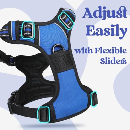 Dog Harness Small Sized (Small / Blue)