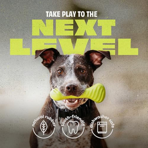 Natural Rubber Dog Bone Chew Toy (Medium)