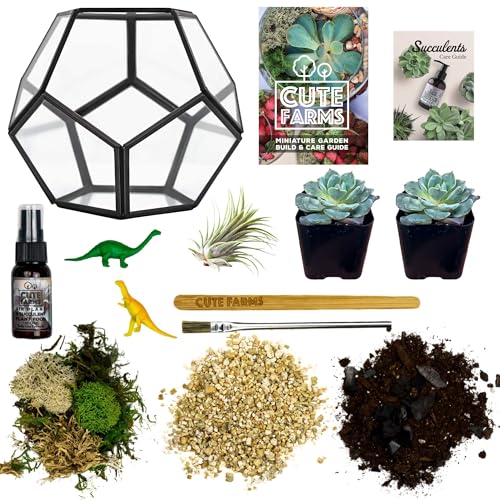 Glass Terrarium Kit (Geometric Glass + Live Plants)