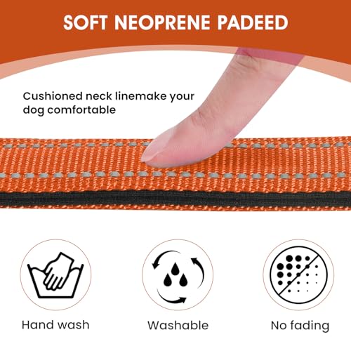 Reflective Dog Collar (Orange / M:width 3/4"neck 14-20.5")