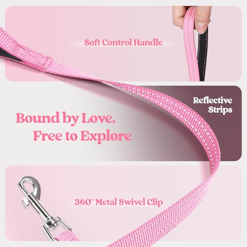 Dog Harness Medium Sized and Leash Set (Light Pink / Xxl (chest: 21.6 - 23.7"))