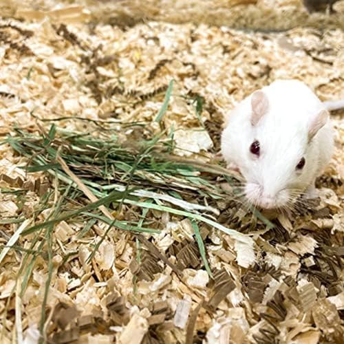 Organic Meadow Hay for Small Pets (15 Ounce (Pack of 1))