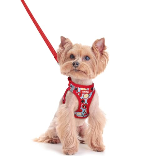 Dog Harness Small Sized and Leash Set (Apple Pups / Xxs (chest: 12.4 - 14.2"))