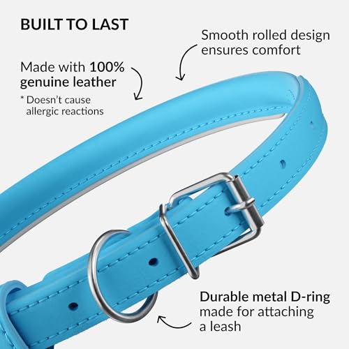 Tangle Free Reflective Leather Dog Collar (Light Blue / S)