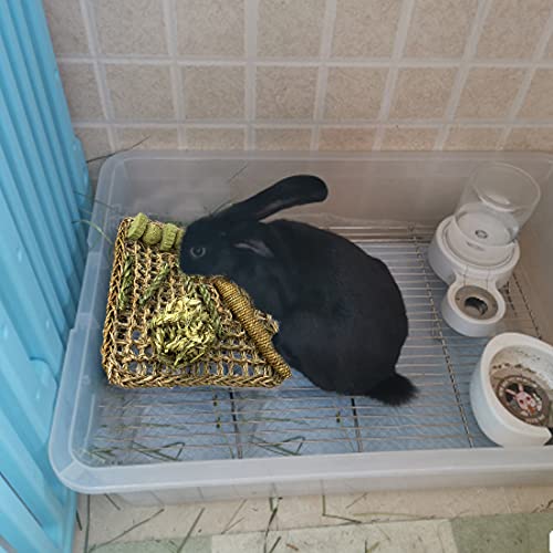Rabbit Seagrass Mat Bunny Chew Toys for Teeth Hanging Activity Mat Rabbit Enrichment Activity Mat Small Animal Toys for Hamster Guinea Pigs Gerbil Birds (B)