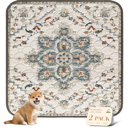 Washable Pee Pads for Dogs (54x54 Inch (Pack of 2) / Beige/Floral)