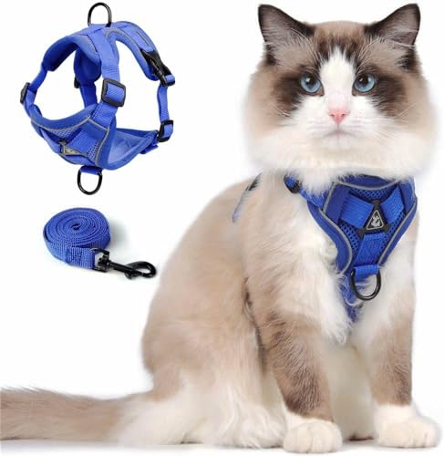 Cat Harness and Leash Set (Blue / M)
