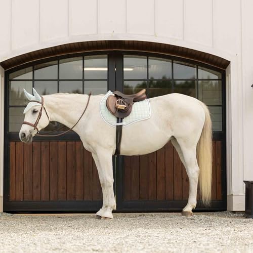 Svalbard NordicAir Tech Horse Saddle Pad (Misty Jade / Horse)