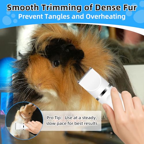 Guinea Pig & Rabbit Grooming Kit 2 in 1