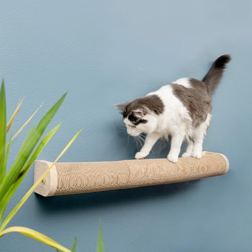 Floating Cat Shelf & Perch (Wall Mount / Ascentials Moonbeam Path)