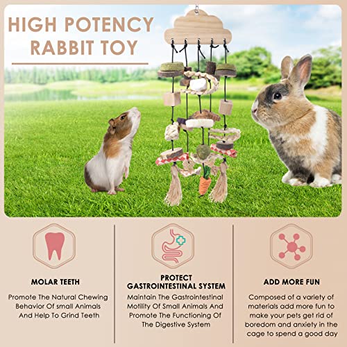 Rabbit Chew Toy (Style-1)
