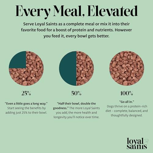 Human Grade Freeze Dried Raw Dog Food (14 Ounce (Pack of 1))