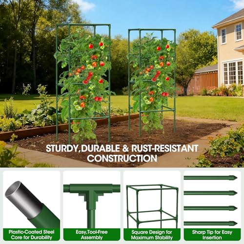 2 Pack Tomato Cage for Garden Support (2 Pack)