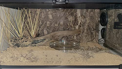 Fake Desert Dry Grass Reptile Plants Bearded Dragon Terrarium Décor (F-fake Desert Dry Grass)