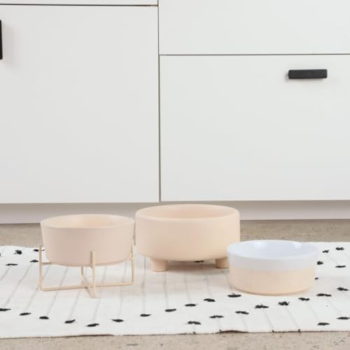 Uplift Elevated Ceramic Dog Bowl (Small / Buttercream)