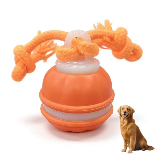 Zealburst Interactive Dog Toy Ball (Orange)