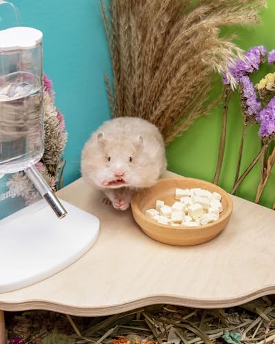 Hamster Snack & Treats Toy